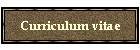 Curriculum vitae